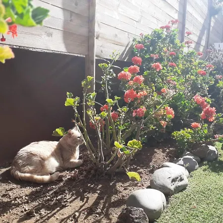 Apartman Moon In The Garden