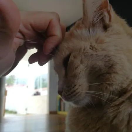 Moon In The Garden Apartman *