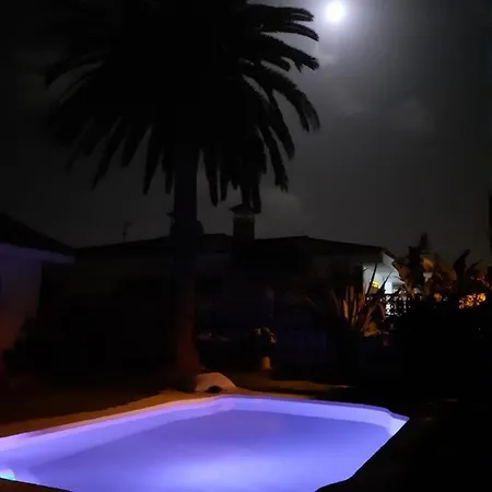 Moon In The Garden Lejlighed *