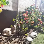 Apartment Moon In The Garden