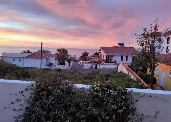 Moon In The Garden *