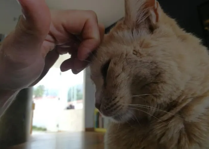 Moon In The Garden Apartment *