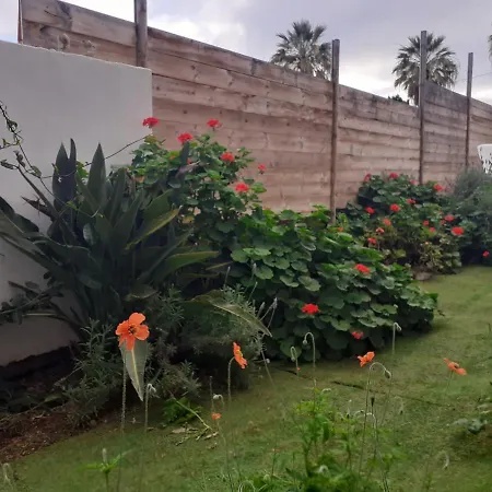 Moon In The Garden * לוס ריאלחוס