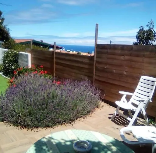 Moon In The Garden * לוס ריאלחוס