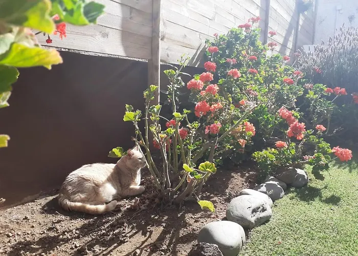 דירה Moon In The Garden